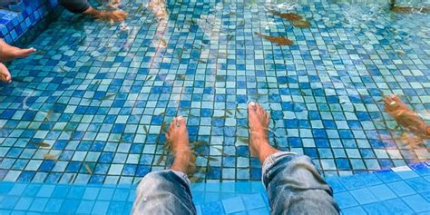 footspa fish|The Dangers of Fish Pedicures .